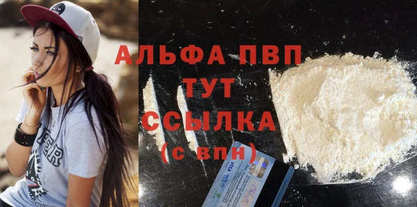 spice Богородск